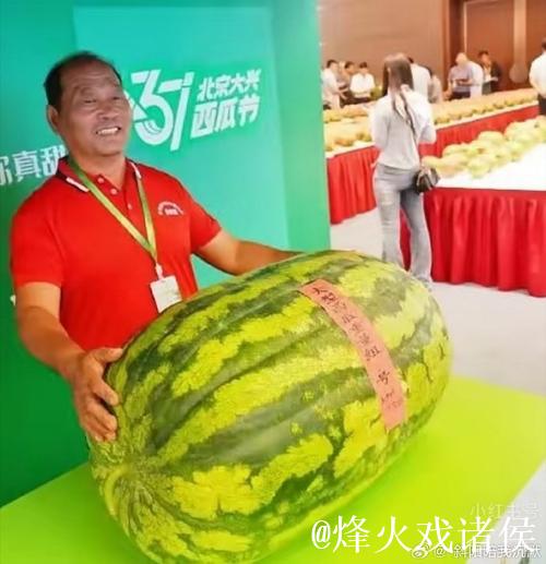 网红大瓜免费吃,全城热议真相揭秘! 网红大瓜免费吃,全城热议真相揭秘!